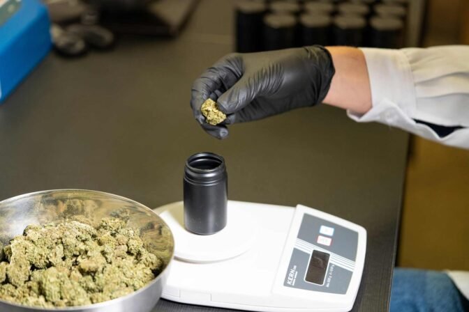 Premium Cannabis Cultivation Project